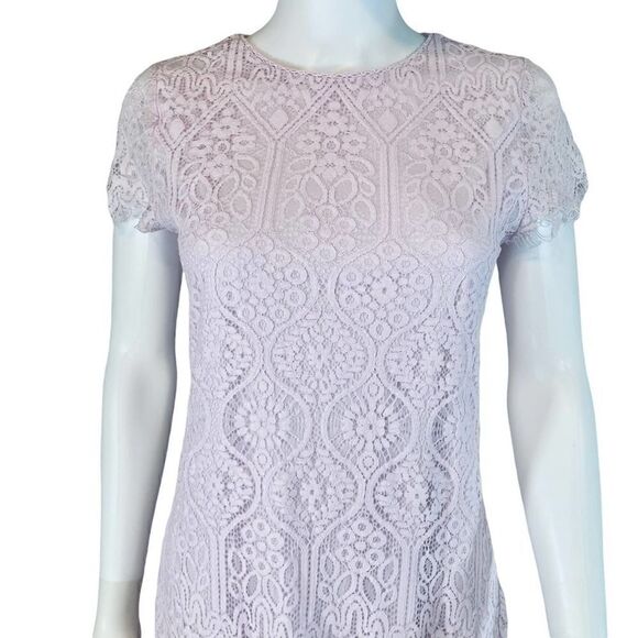 Mi Ami by Francesca’s Mini Lace Dress Mini Womens Pastel - Picture 2 of 11